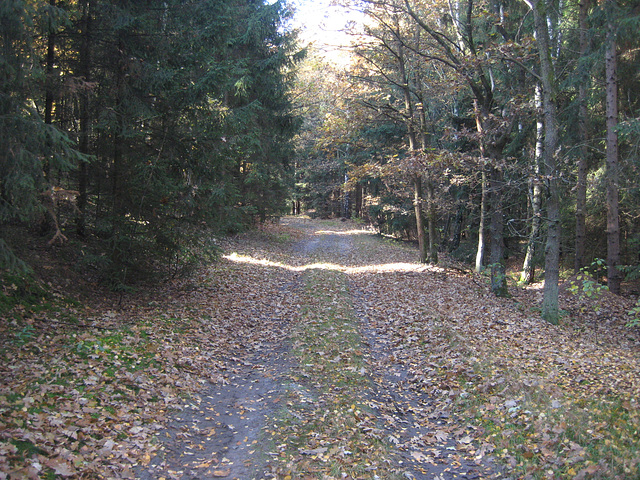 Waldweg Brombachhaus - Horstmühle