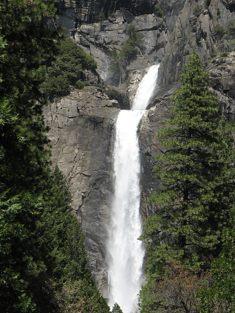 Lower Yosemite Falls