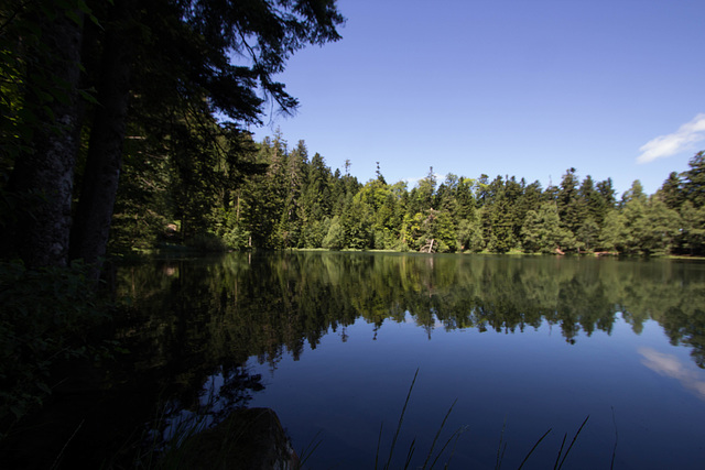 Lac des Perches