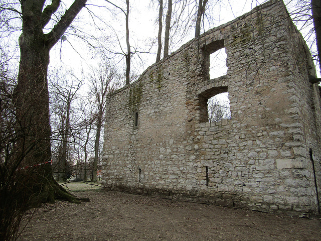 Teublitzer Stadtpark mit der alten Schlossruine