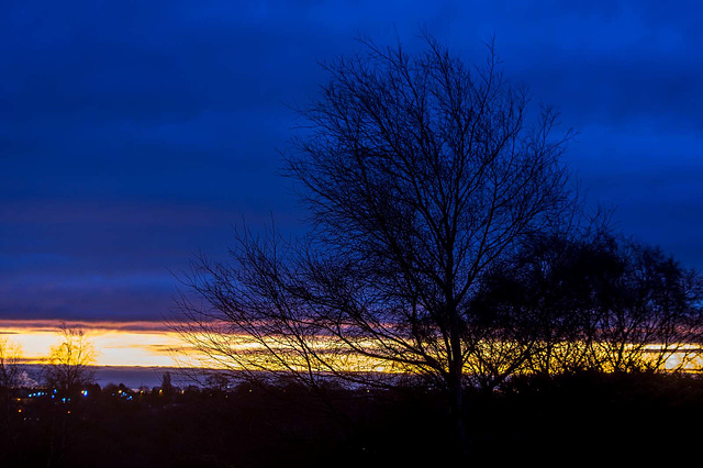 Thurstaston Hill in the morning