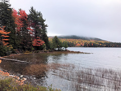 Maine colors