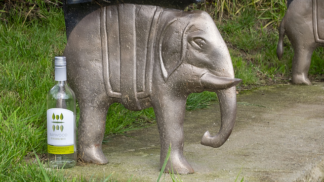 Elephant and Wine Bottle