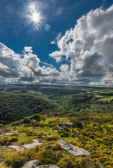 Dartmoor -  20150831