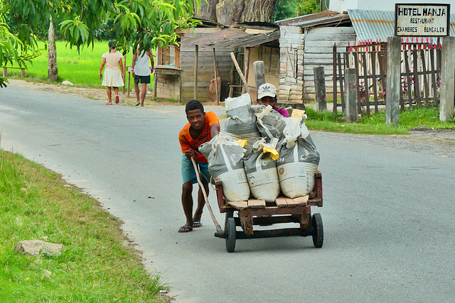 P1250359- Poussent la charette, Ranomafana - Route Manakara:Ambosita. 18 novembre 2019