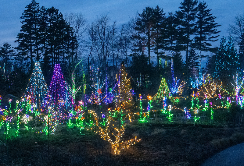 Entrance, Gardens Aglow