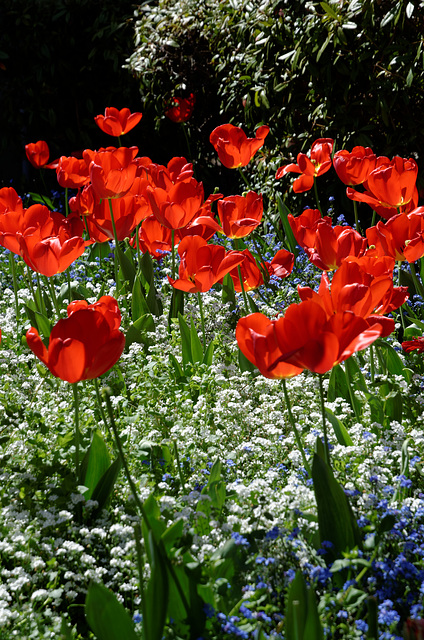 De la couleur plein les yeux !