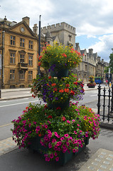 Oxford, Flower Bed on St. Giles'