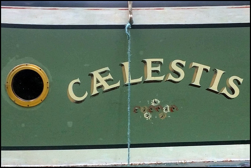 Caelestis