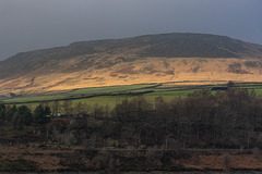 Fieldbarn in the spotlights