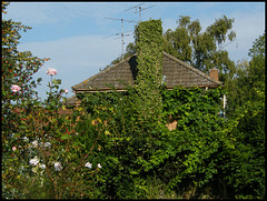 green chimney