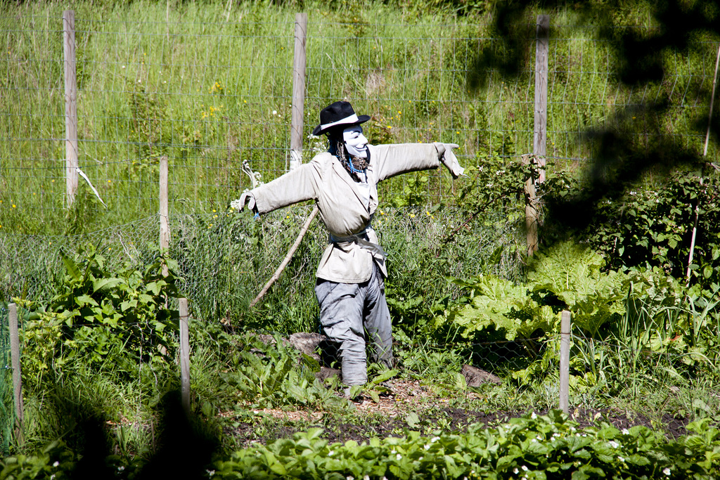 Annonymous Scarecrow