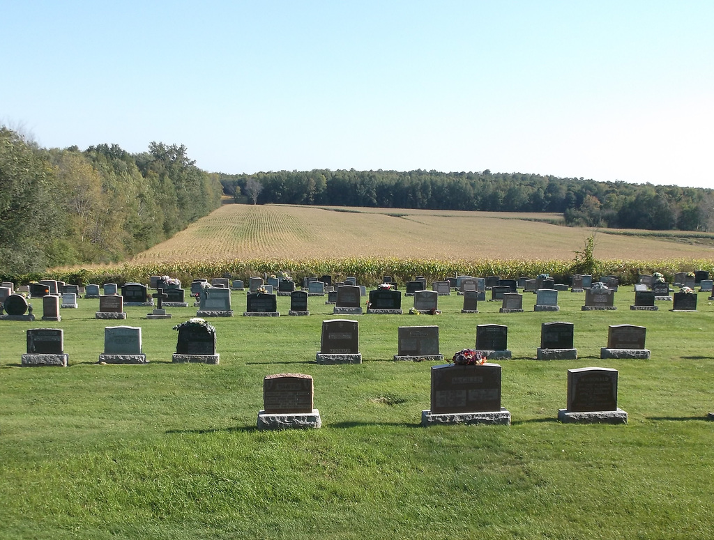 Cimetière agricole / Agricultural cemetery