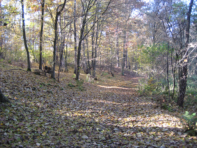 Waldweg Brombachhaus - Horstmühle