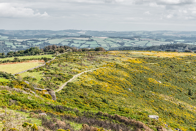 Dartmoor - 20150831