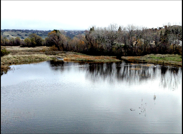 Willow Creek Willow Creek