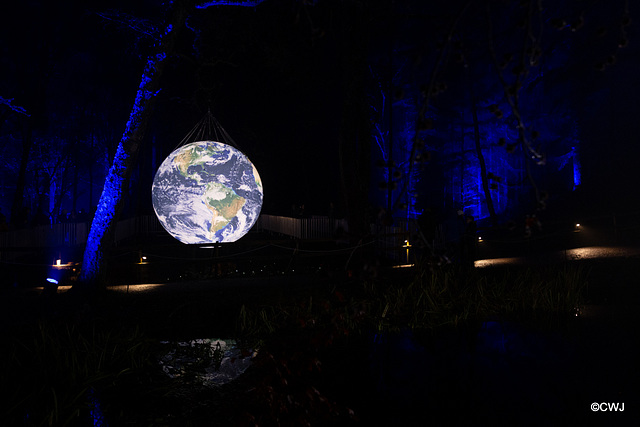 The Enchanted Forest, Faskally, 2nd Nov 2019