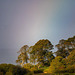 A rainbow at Burton Wetlands