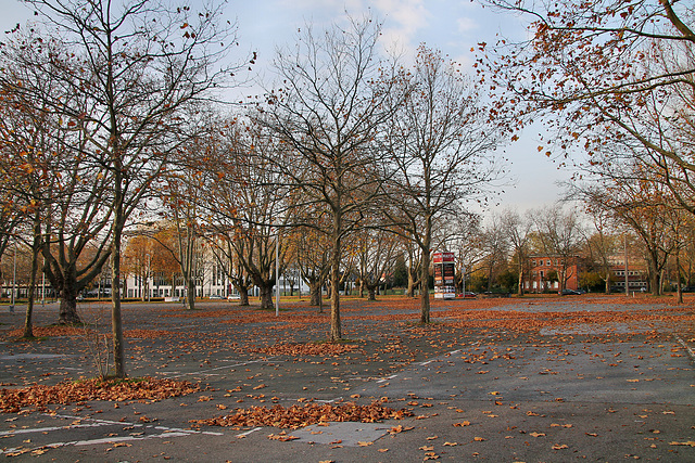 Parkplatz bei den Westfalenhallen (Dortmund-Innenstadt-West) / 8.11.2020