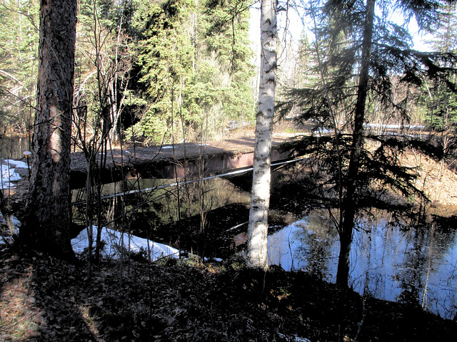 Across the slough