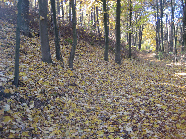 Waldweg Brombachhaus - Horstmühle