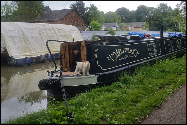 Mettela narrowboat