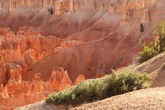 Bryce Canyon (Enlarge, please)