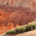 Bryce Canyon (Enlarge, please)