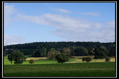 Wirral landscape (1)