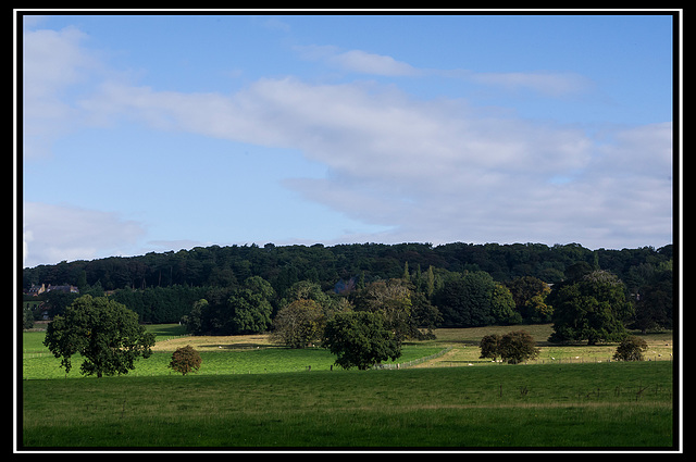 Wirral landscape (1)