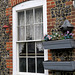 IMG 6835-001-Cottage Window 1