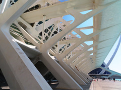 Valencia: Museo de las Ciencias Príncipe Felipe, 14