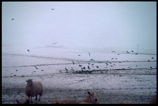 Aberdeenshire