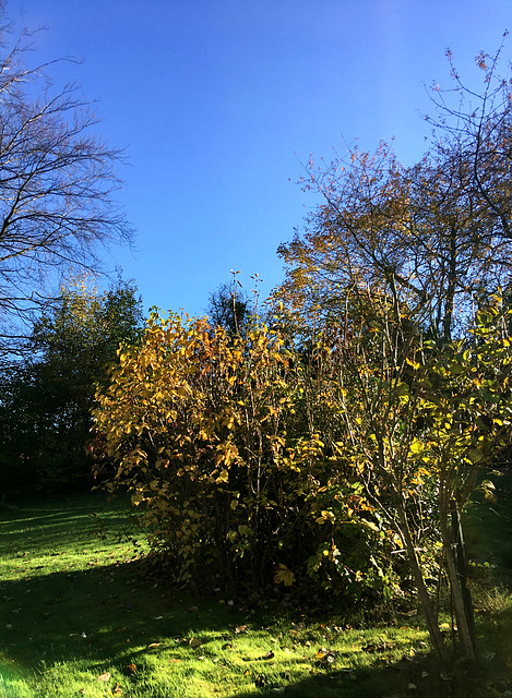 Après-midi d'automne