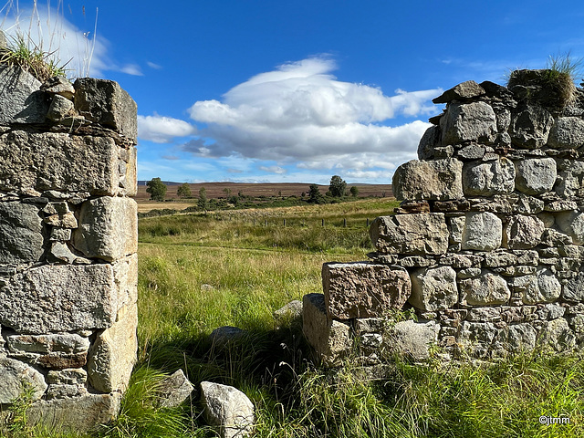 Bogeney Farm ruins - view from the front door