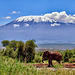 Amboseli Nationalpark