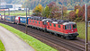 151014 Othmarsingen sdm 7