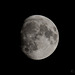 November 1st Moon 2017