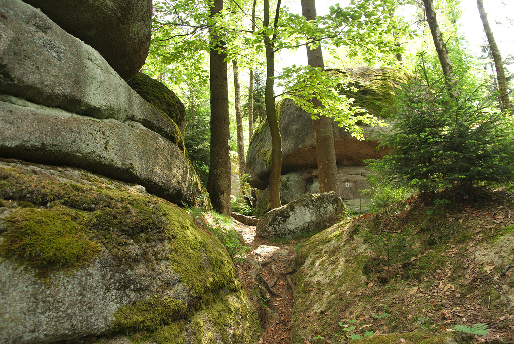 20180510-124430-0001-Fichtelgebirge