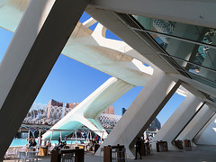 Valencia: Museo de las Ciencias Príncipe Felipe, 12