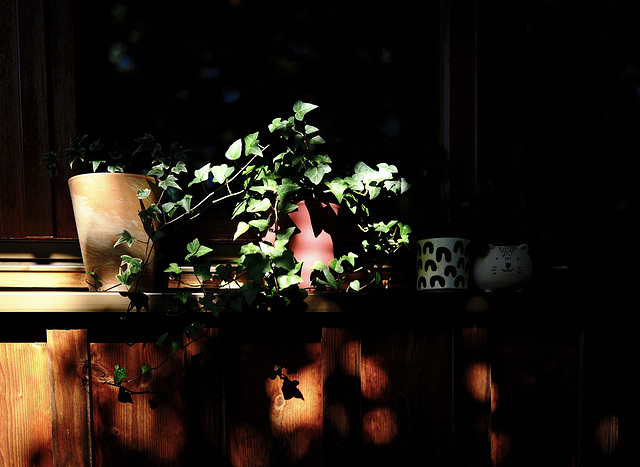 Fensterbrett am Morgen