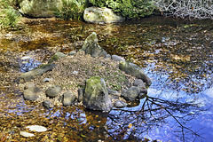 The Moon-Viewing Garden – San Francisco Botanical Garden, Golden Gate Park, San Francisco, California