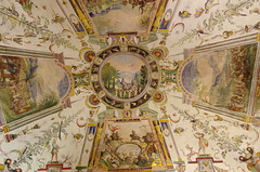 ceiling panel