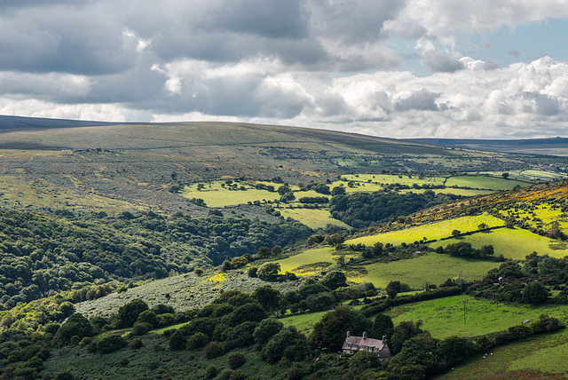 Dartmoor - 20150831