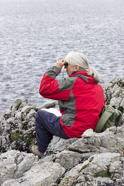 Watching sea birds