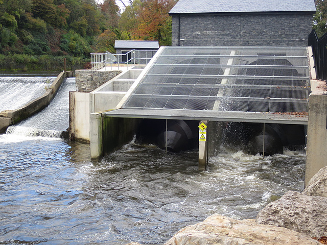 Weir turbines