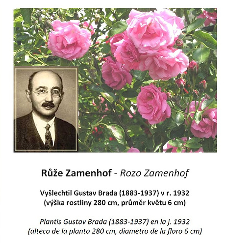 Rozo Zamenhof