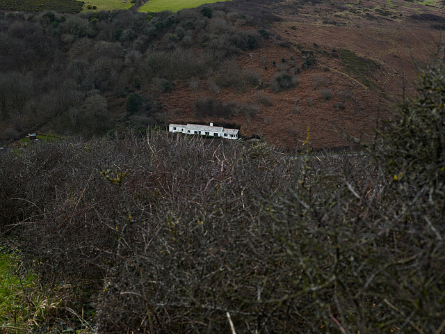 The house in the valley