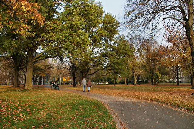 Kleiner Park am Rheinlanddamm (Dortmund-Innenstadt-West) / 8.11.2020