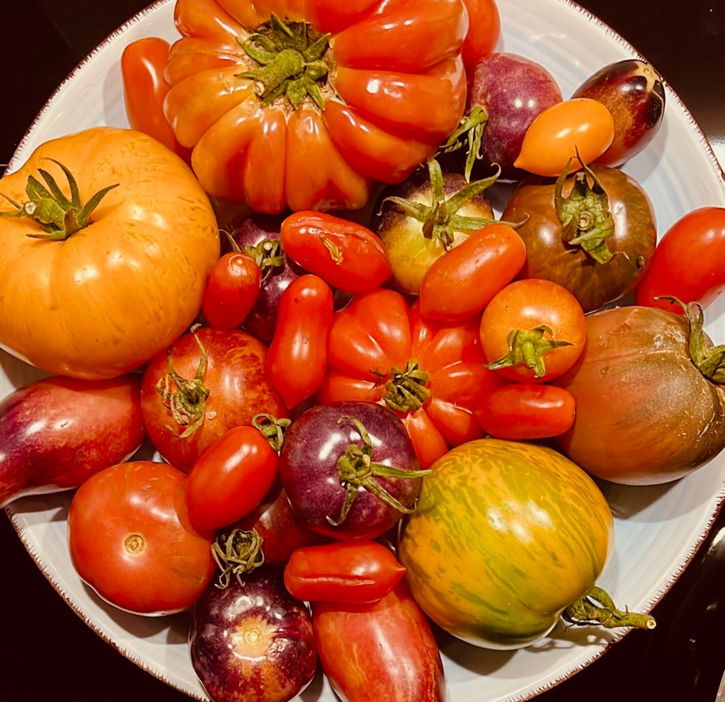 Tomaten